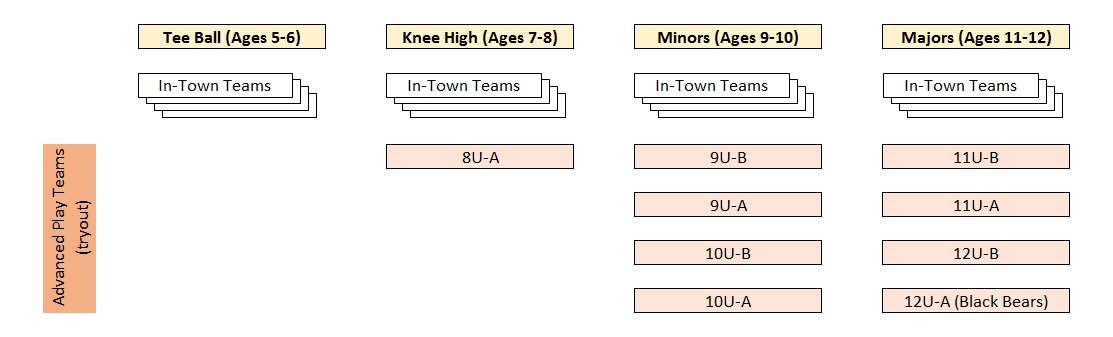 Jr Division structure