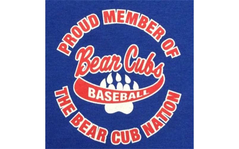 BMBL is looking for the next head coach of the Bear Cubs!